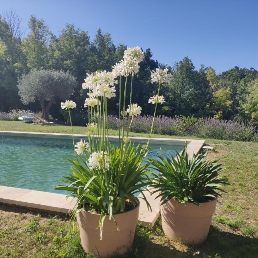 Chambre Double En Pleine Nature "La Clairiere De L'Ange" Peyrins Eksteriør bilde