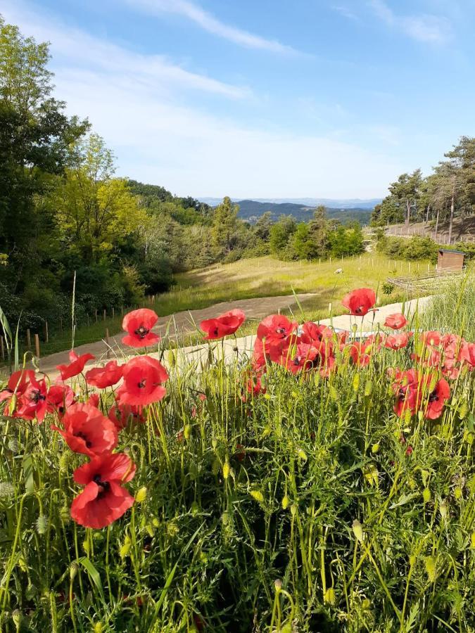 Chambre Double En Pleine Nature "La Clairiere De L'Ange" Peyrins Eksteriør bilde